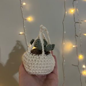 Rear view mirror hanging plant